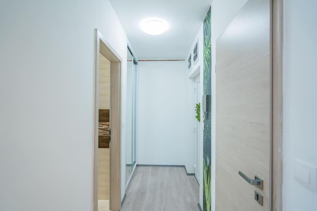 Jungle Apartment Siofok Luaran gambar